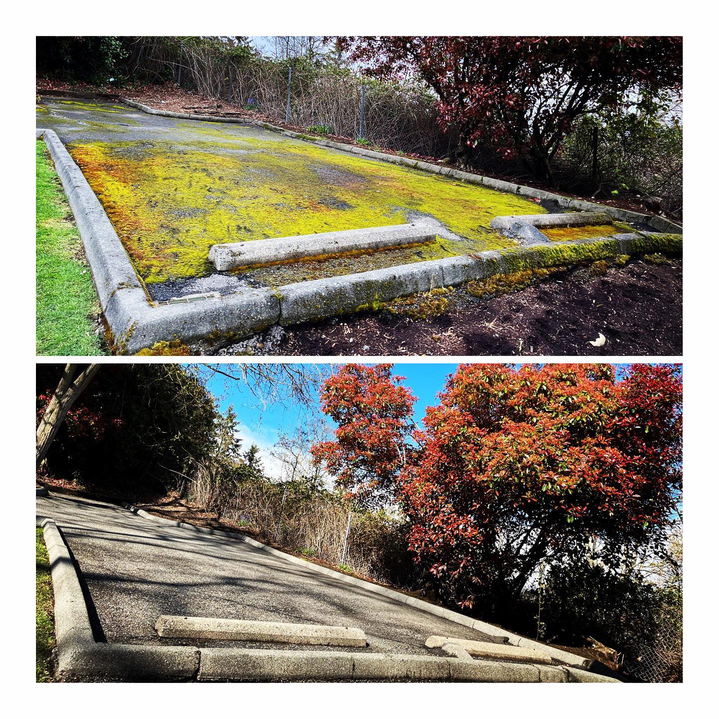 Two panels: a driveway covered in yellow moss above, the same driveway clean below