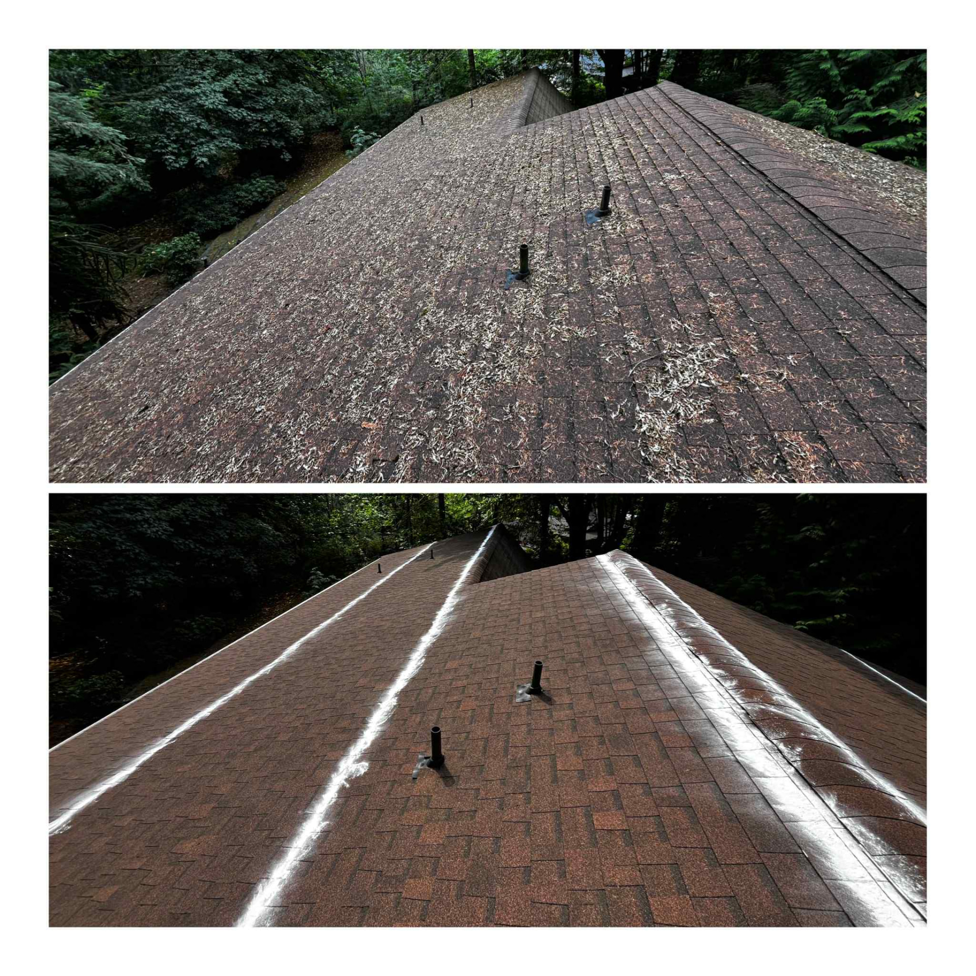 Two panels: a roof dusted with lichen and moss above, the same roof cleaned with white treatment bands along the ridges below