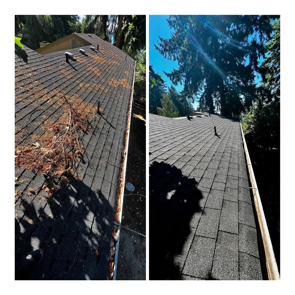 Side by side: a roof covered in needles and debris, then the same roof cleared