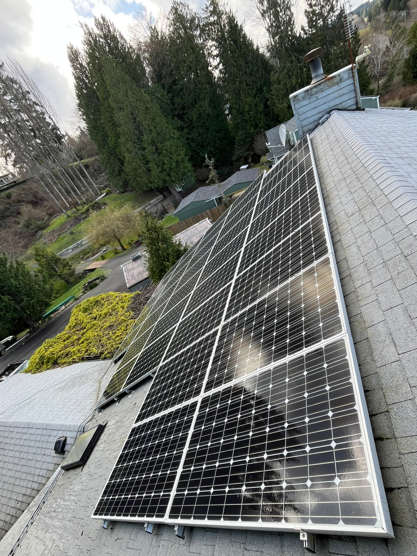 Clean solar panels on a shingle roof with tall trees behind