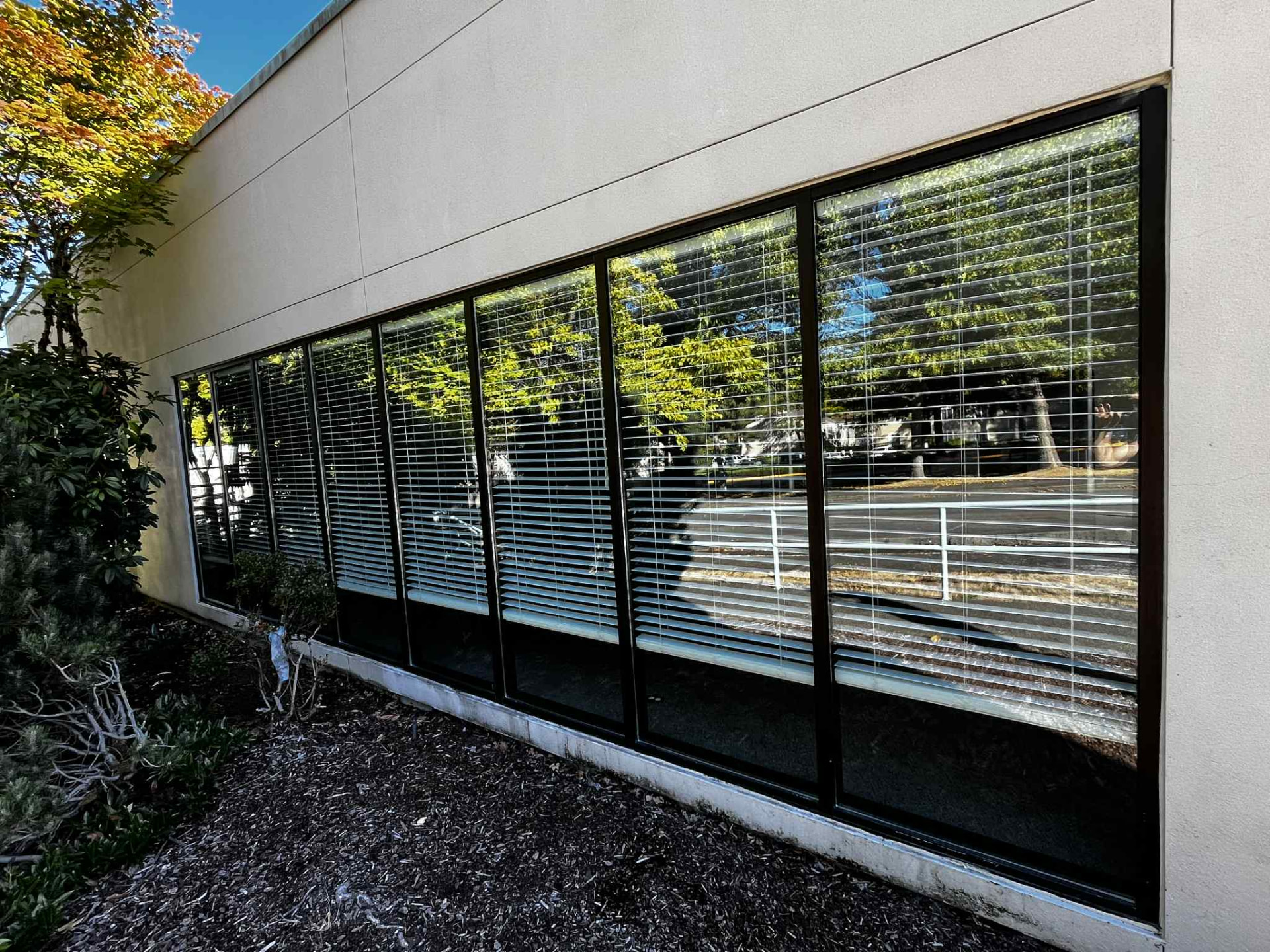A row of clean commercial windows with blinds