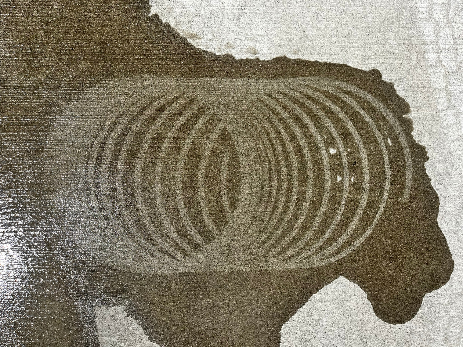 A pressure washer surface cleaner cutting a clean line through algae-stained concrete