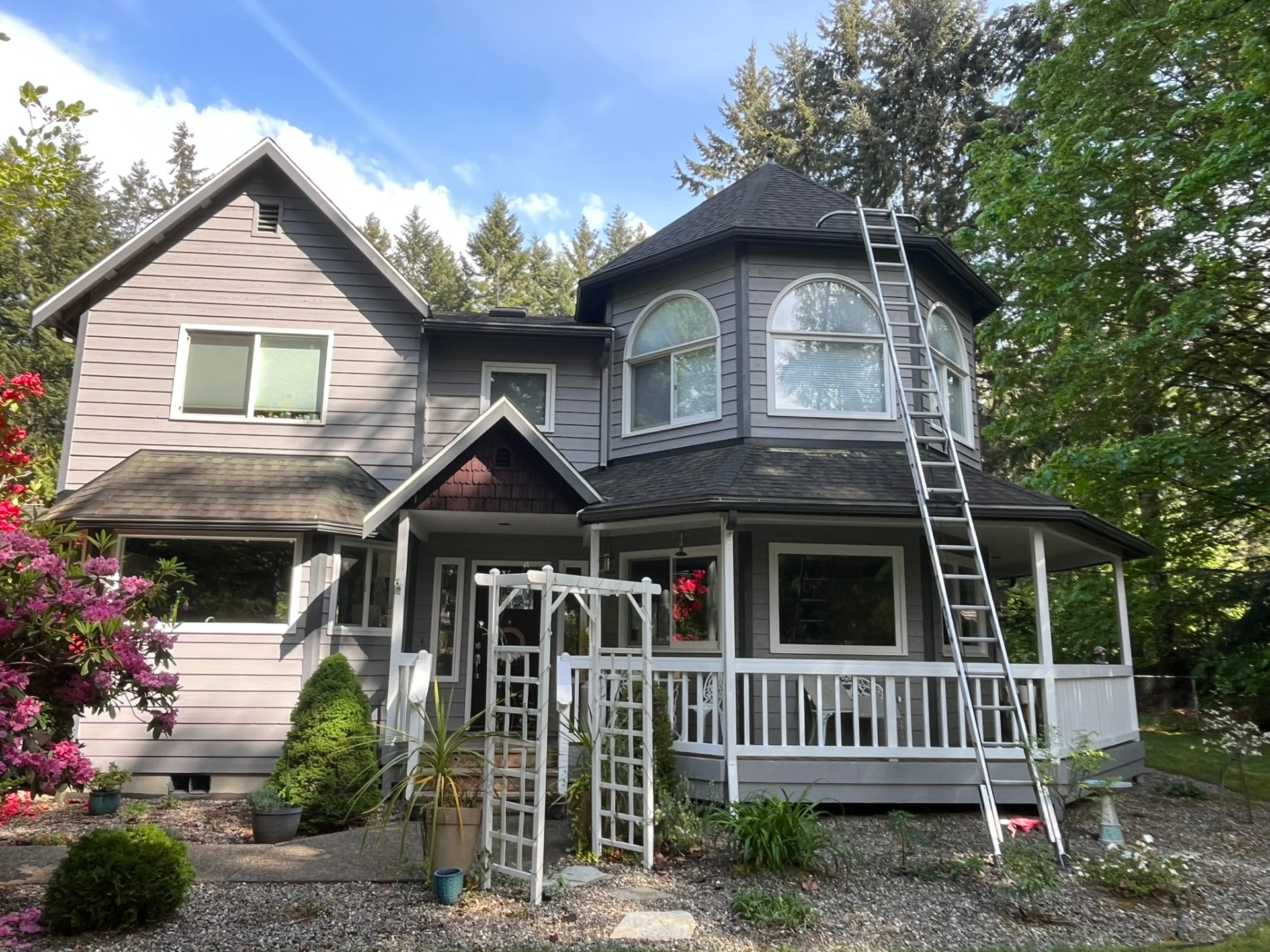 A ladder leaning against a house beneath a mossy roof, ready for a roof clean