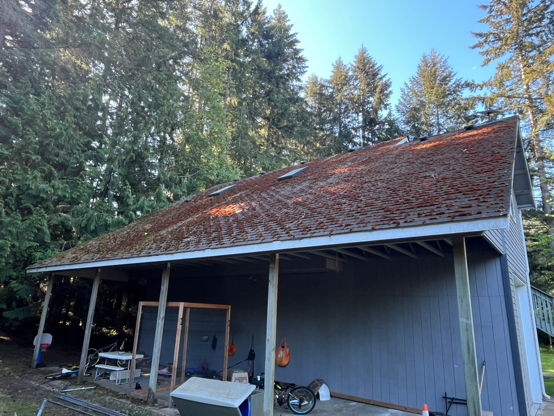 An outbuilding roof thick with green moss between the shingles