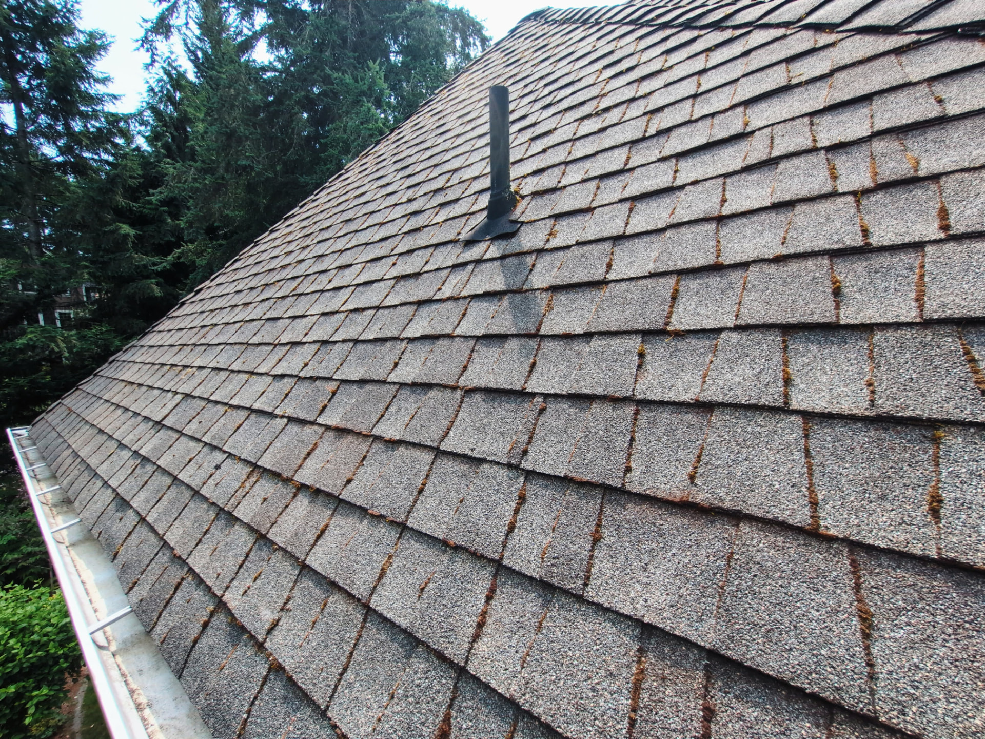 The same roof with clean shingle faces and a clear metal gutter running along the edge