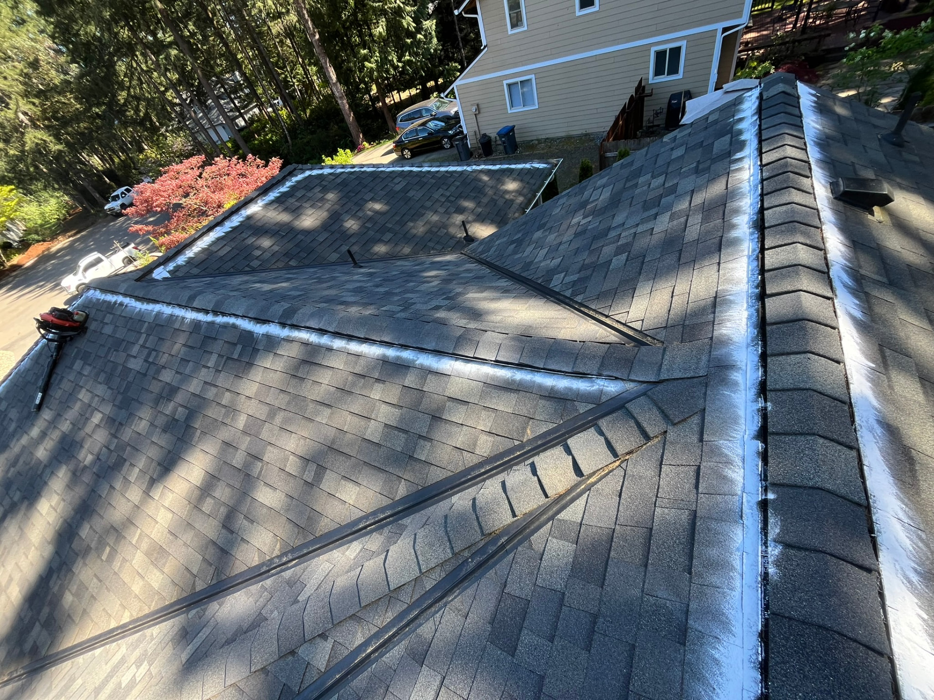 White moss treatment spread across mossy roof shingles